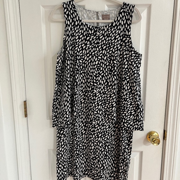 Women's Rayon and Spandex Chico's dress - Picture 1 of 4